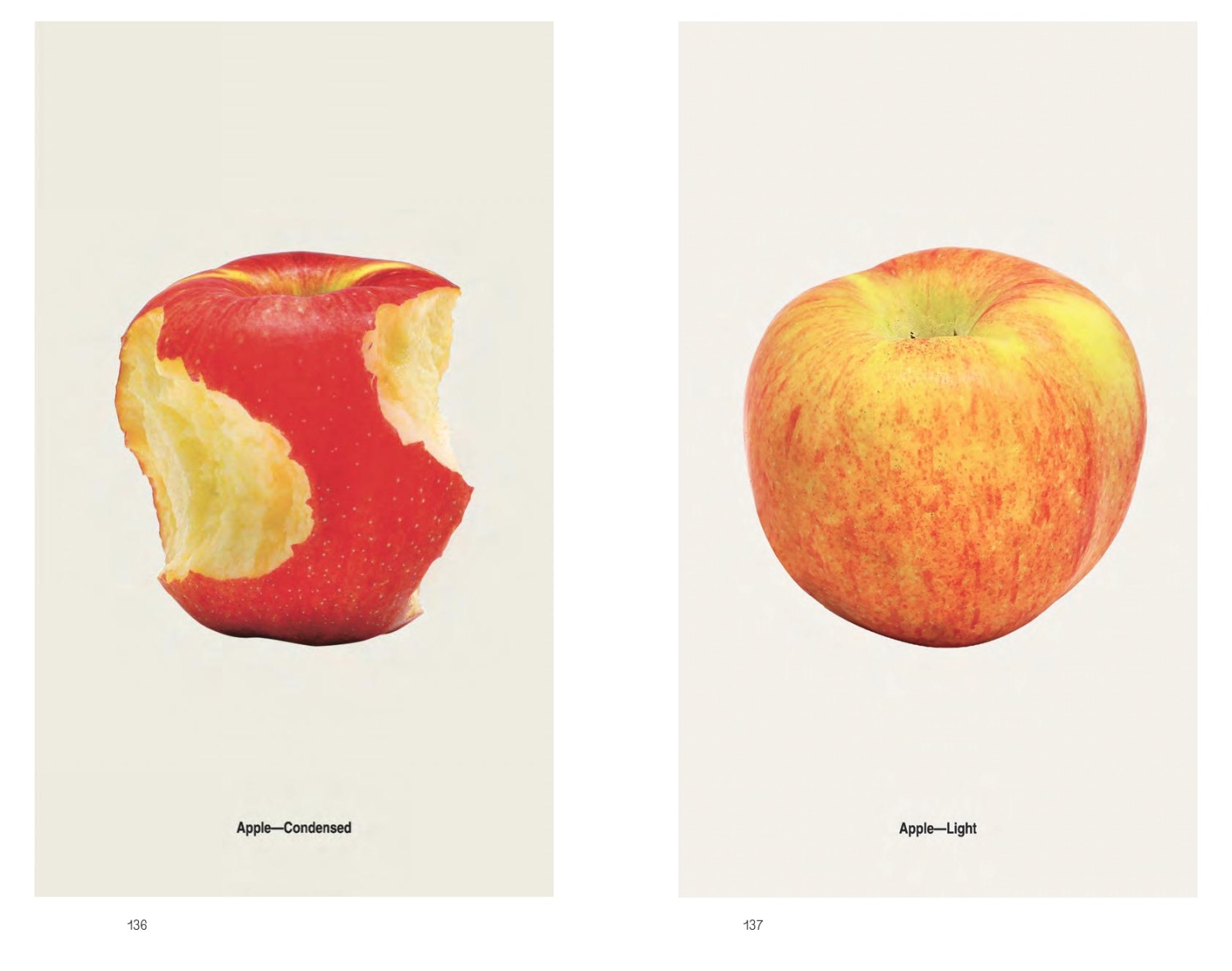 2019-catalogue-69.jpg